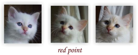 red point